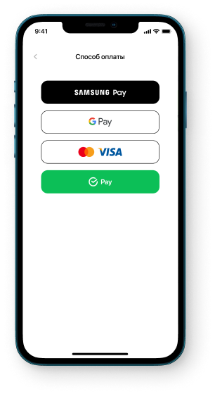 All popular ways to pay online